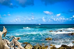 Aruba north coast